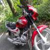 TVS Max 125